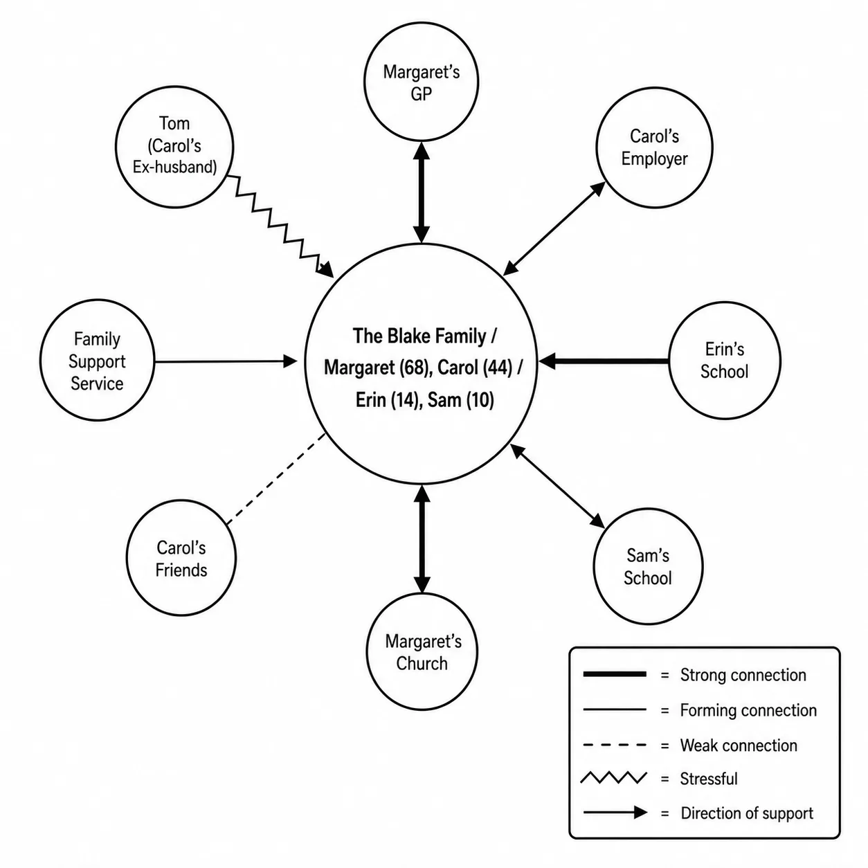 Multigenerational Household Ecomap Example