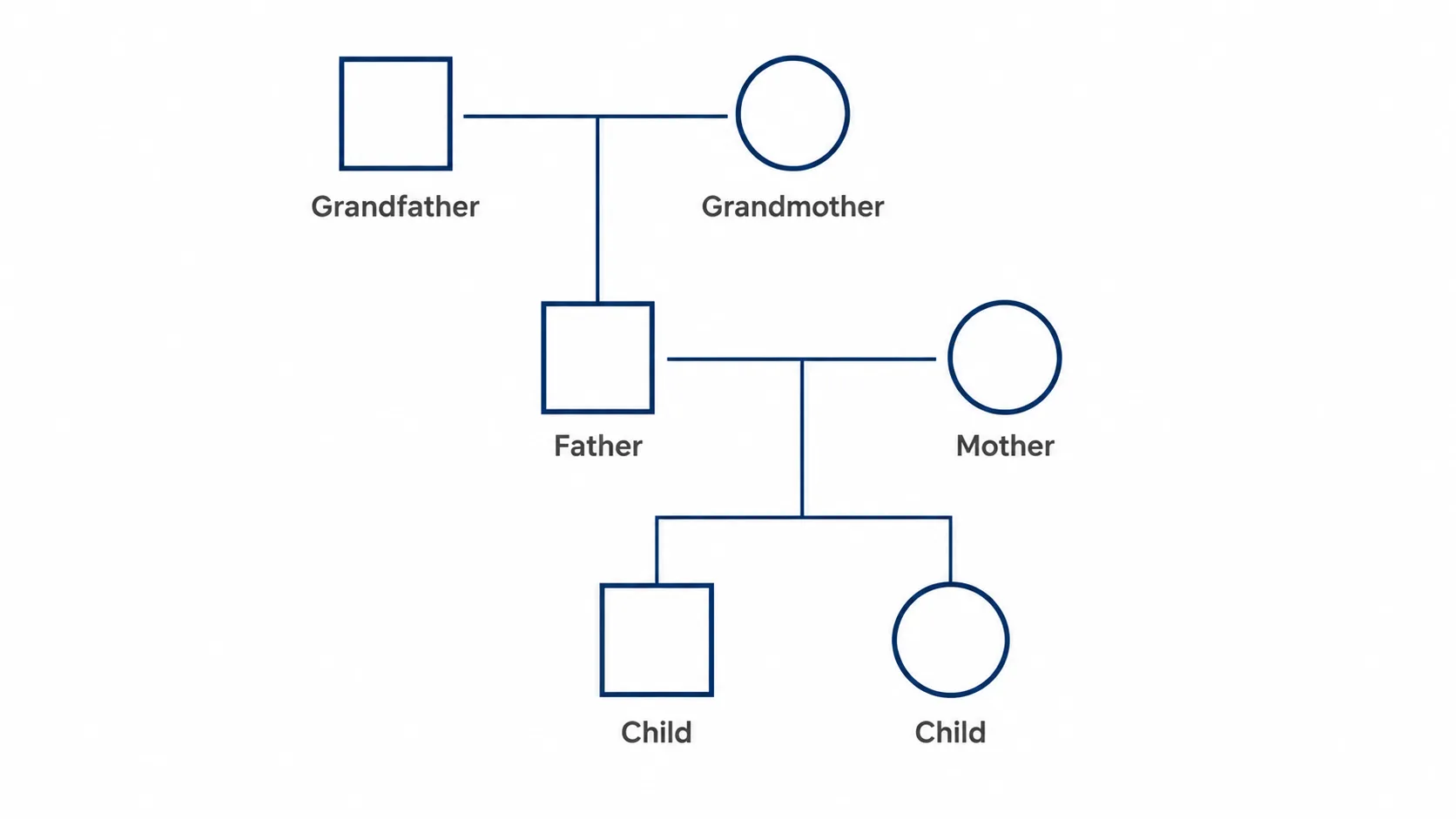 Family Tree Family Tree