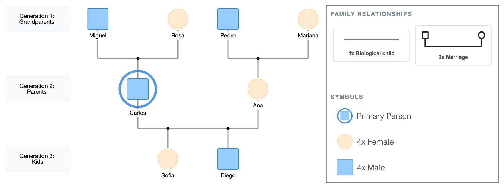 3-Generation Genogram Example: Basic Structure