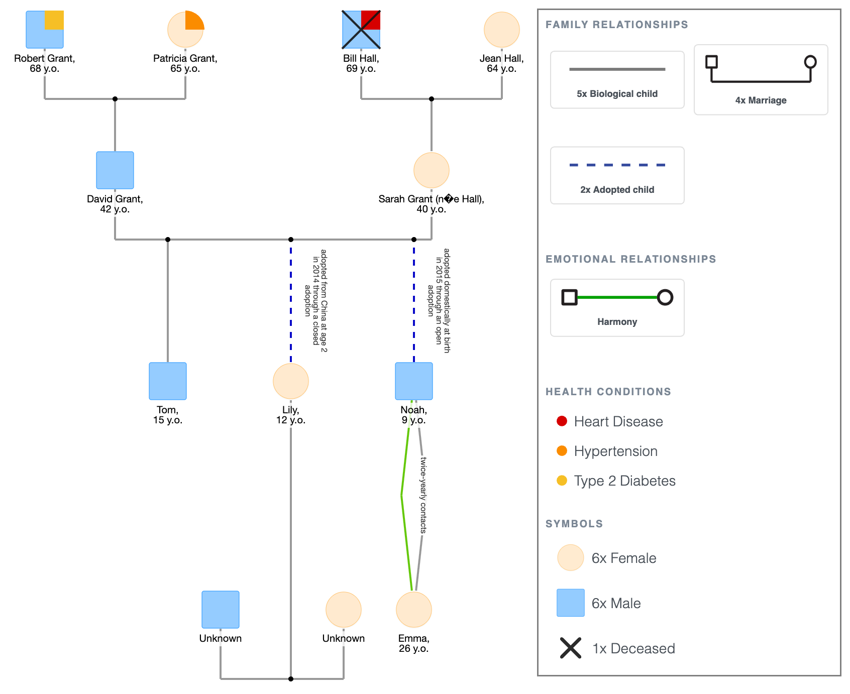 Genogram Example for Adoptive Families