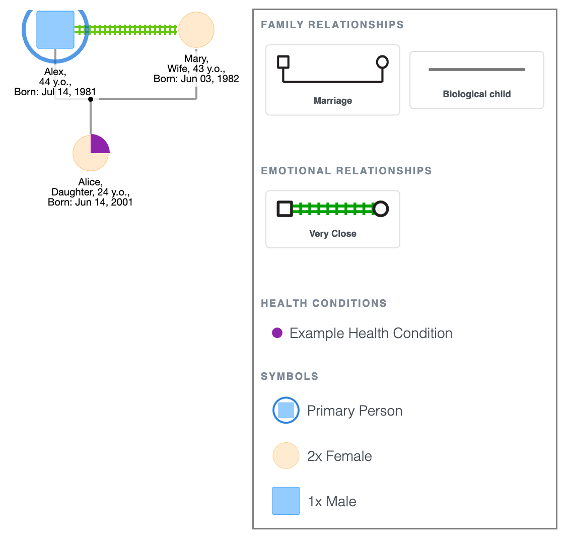 Family Genogram Example: Couple with a Child