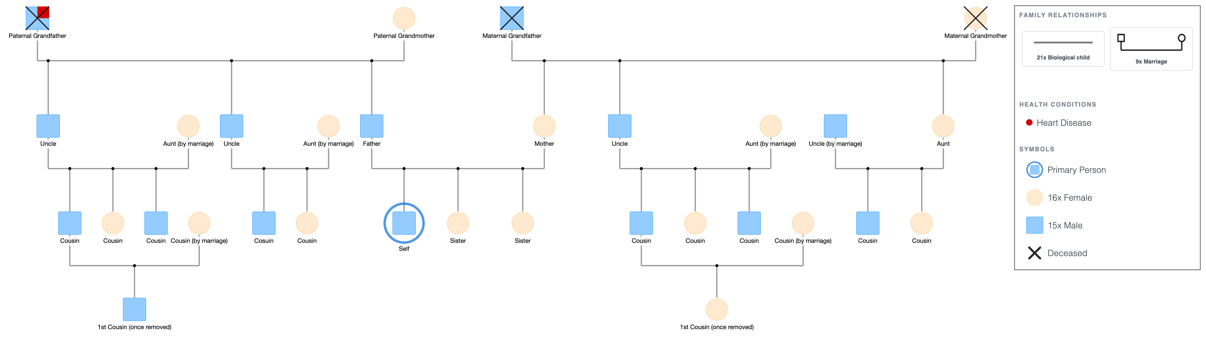 Large Family Genogram Template